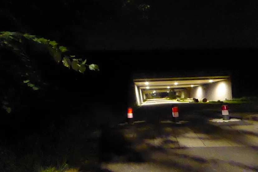 ecologische verbinding