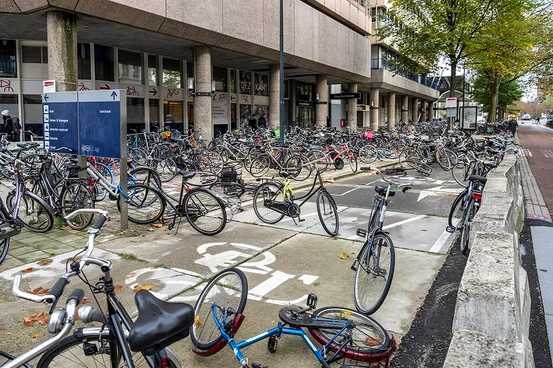 fietsenzee moreelsepark