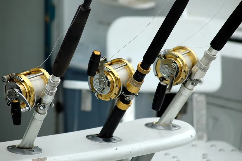 fishing reels 1674749 960 720