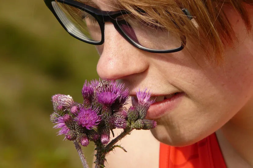 flower ga4b90c8a4 1920