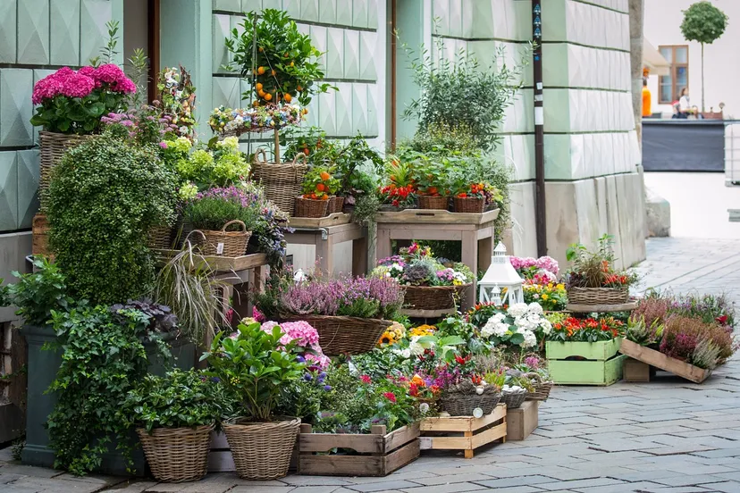 flowers 1139083 1280