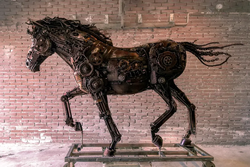 foto beeld jeroen jacobs