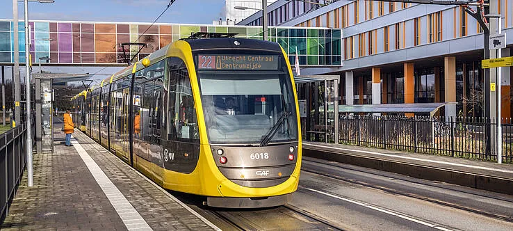 gezonde groei tram