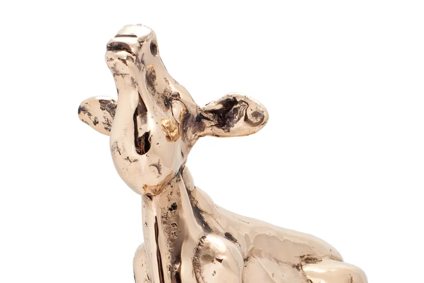 gouden kalf persmateriaal 2