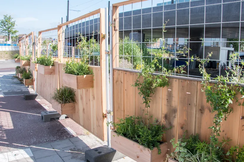 groene bouwhekken judith sterkenburg 2