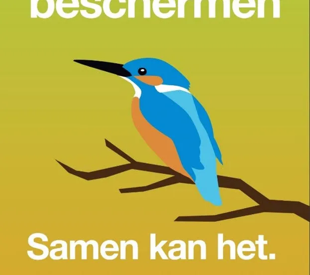 groenlinks pvda campagne