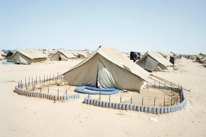 henk wildschut rooted