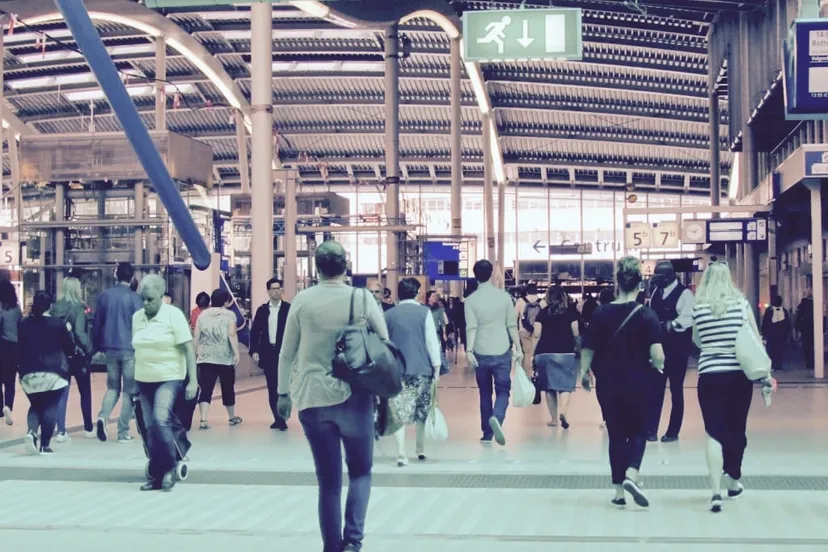 img 1469 1 1024x768 1