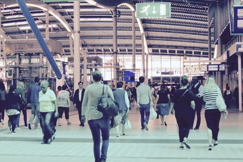 img 1469 1 1024x768 1