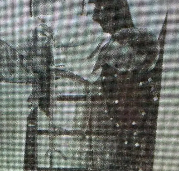 img 3744 e1500891453780