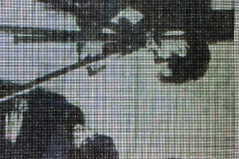 img 3851 e1503399549381