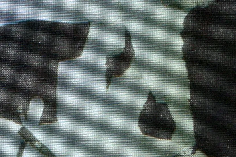 img 3921 e1506786254146