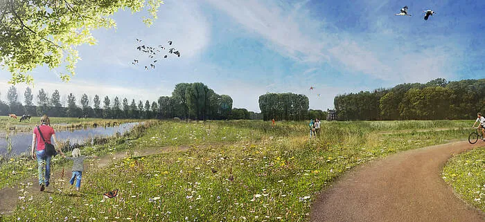 impressie natuurgebied zuilen