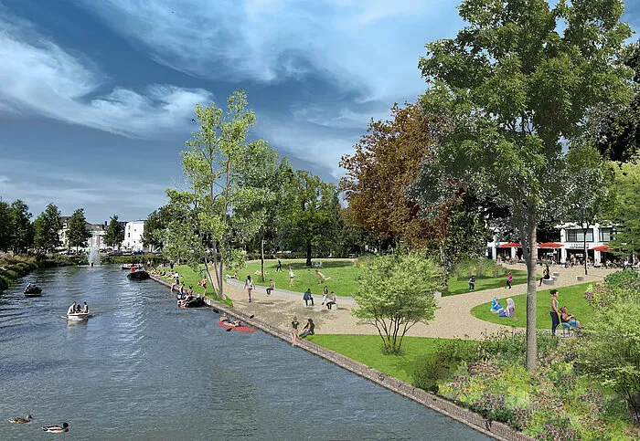 impressie paardenveld