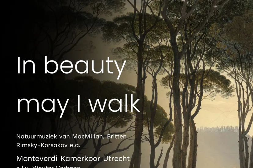 in beauty may i walk poster
