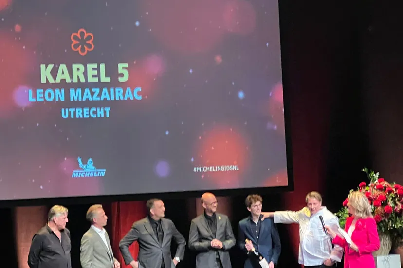 karel v michelinster