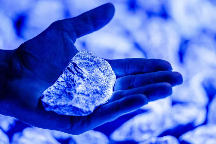 levenslicht roosegaarde