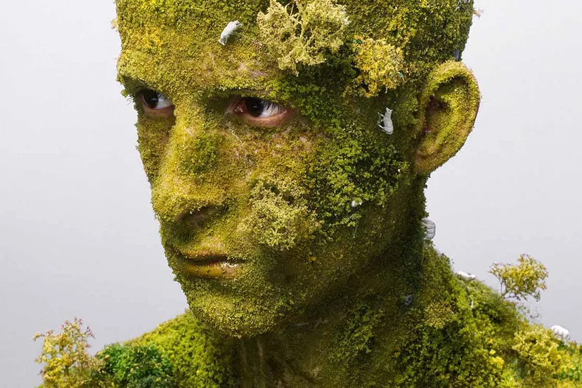 levi van veluw landscape ia