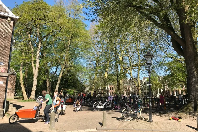 locatie zocherpark wijde doelen nicolaasdwarsstraat