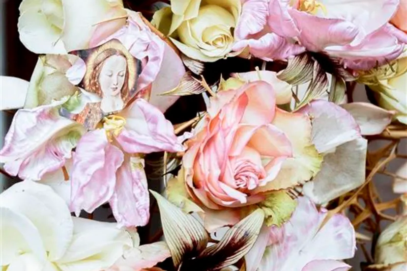 marc mulders maria i