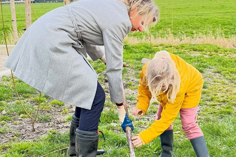 mirjam sterk plant boom