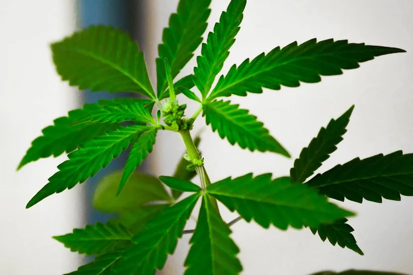 natural 1122973 1280