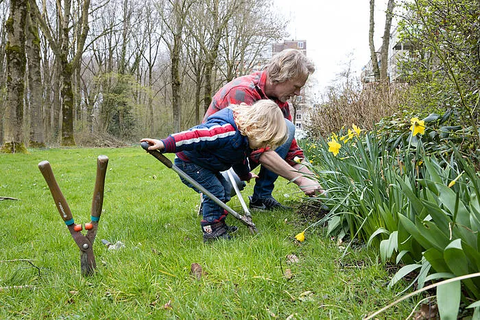 onderhouden openbaar groen overvecht b29dcbeaa3