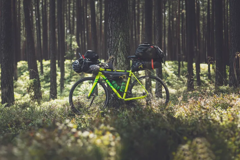 pexels marek piwnicki 6013849