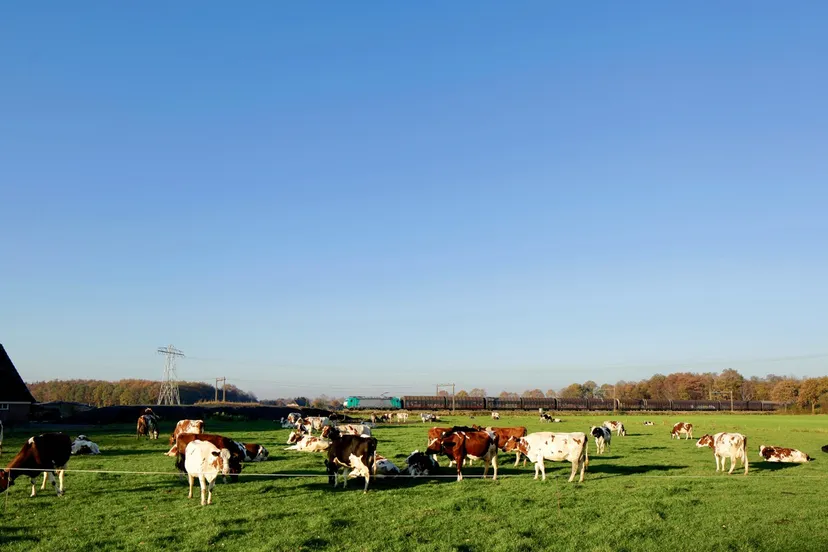 phs en goederentrein 96dpi 1280x840px e nr 165 1