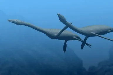 plesiosaurus bw