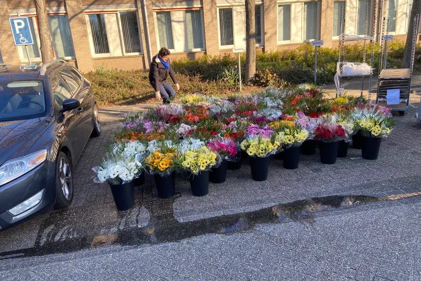 portaal bloemenactie utrecht 2