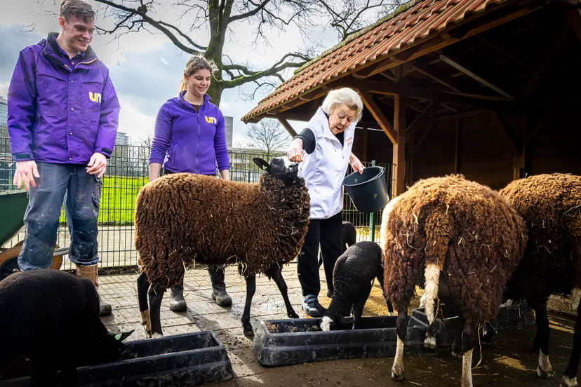 prinses beatrix eilandsteede 15 03 2024