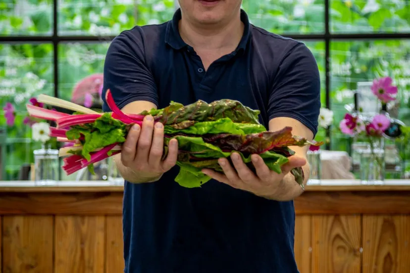 publiciteitsfotos stadsdiner klein