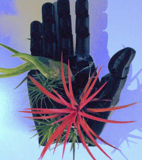 robert krijgsman ontmoeting