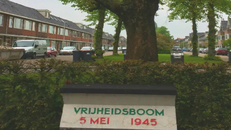 scholen kunnen oorlogsmonument adopteren