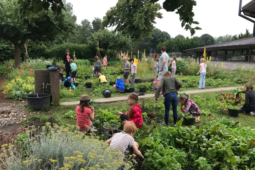 schooltuinieren bij utrecht natuurlijk