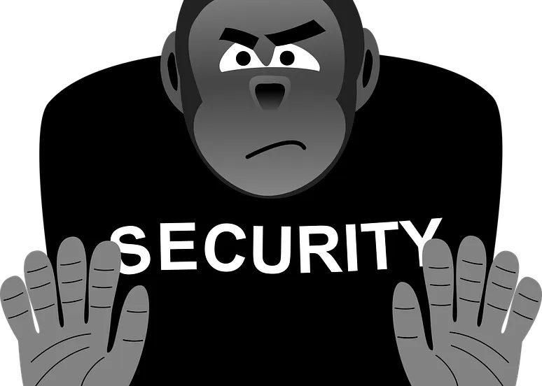 security 1365599 960 720