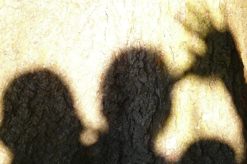 shadow 5552 1280 2