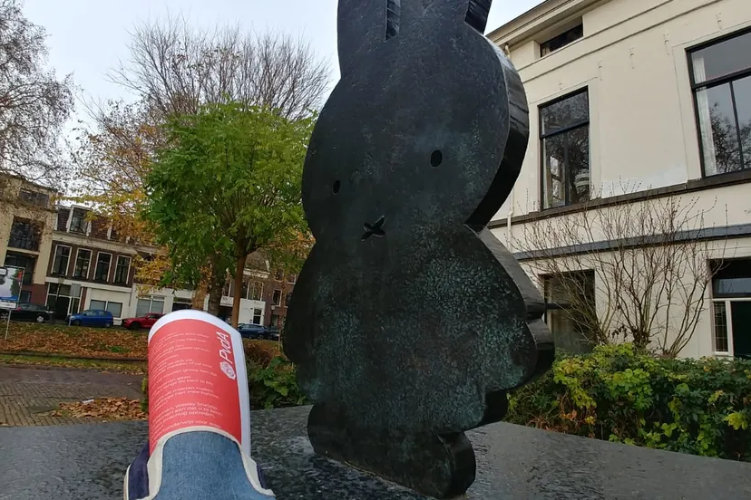 sinterklaas actie schoen bij nijntje