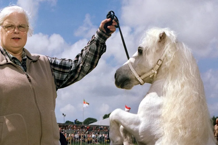 stijfheid jan dirk van der burg