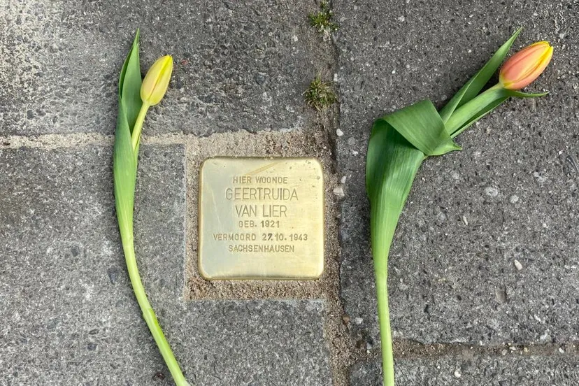 struikelsteentje truus van lier