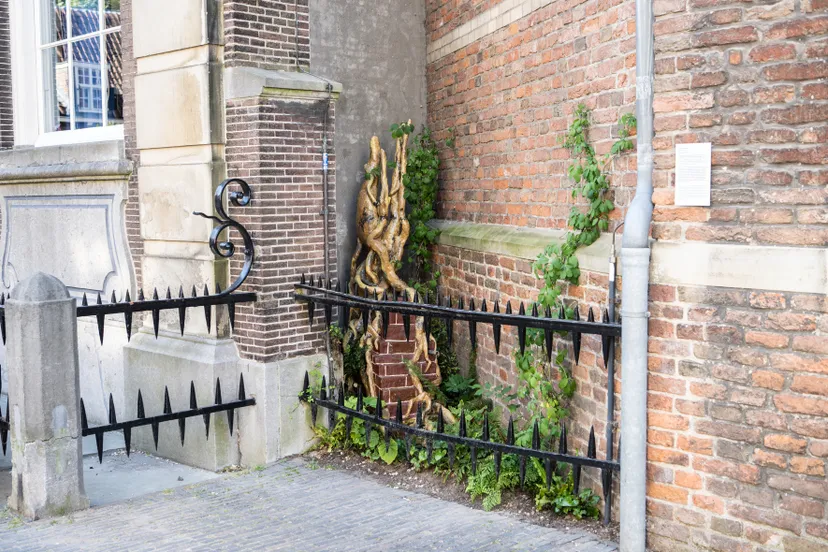 t202330 005 folly diederix