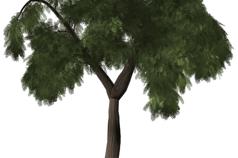 tree 1484351 1280