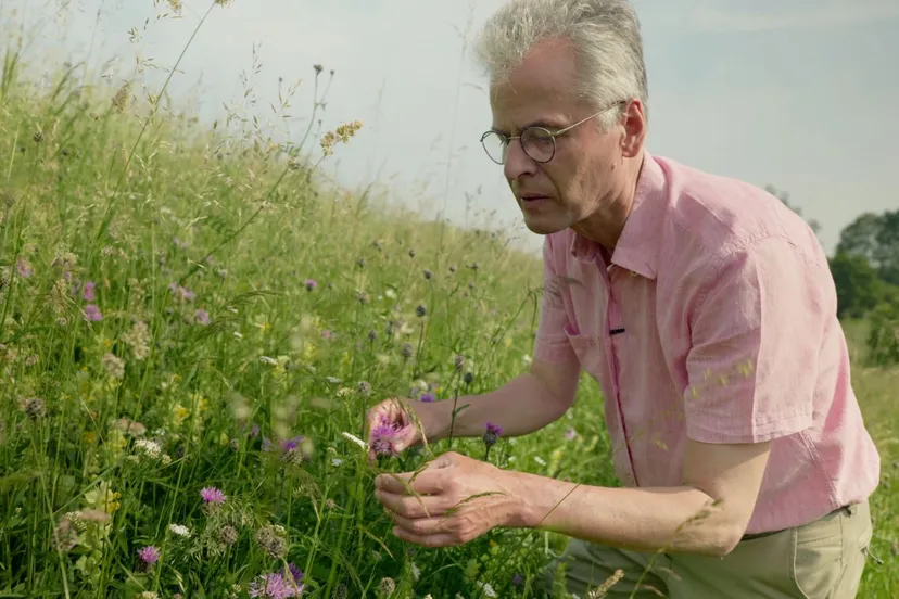 ul hans de kroon toegetreden tot de raad van toezicht van utrechts landschap