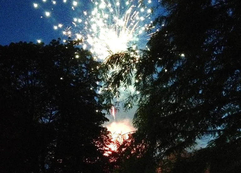 utr kermis6 768x1024