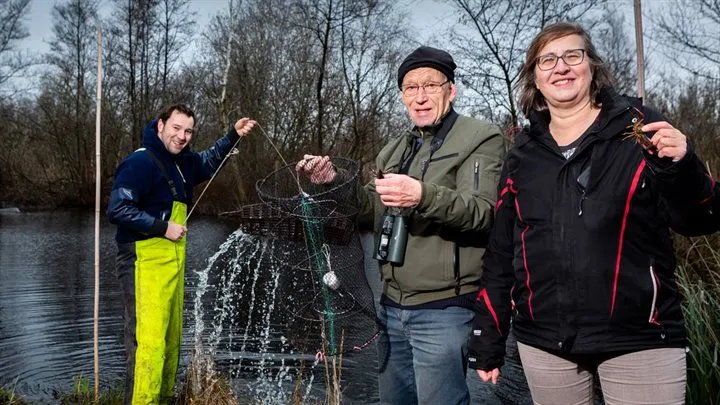 vangen rode amerikaanse rivierkreeft