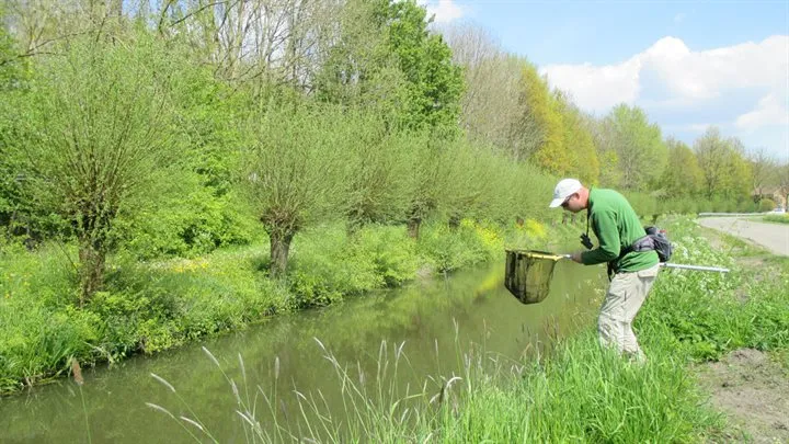 veldwerker sietze van dijk aan het werk