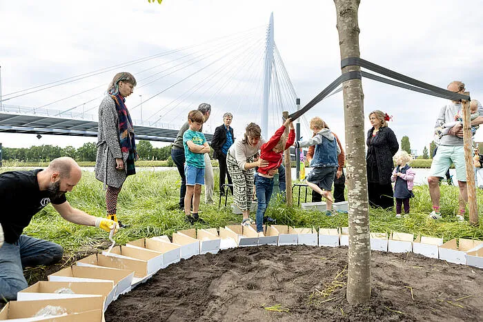 verbindingsboom kanaleneiland 2000px 1ed1f172cc