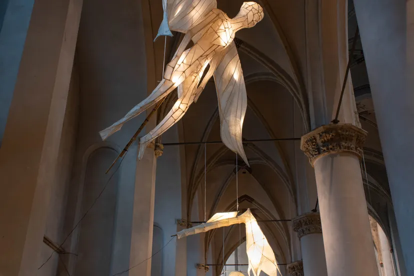 verhalen van licht tentoonstelling 2022 a foto billie jo krul