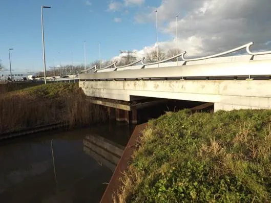 vleermuizenoversteekplek